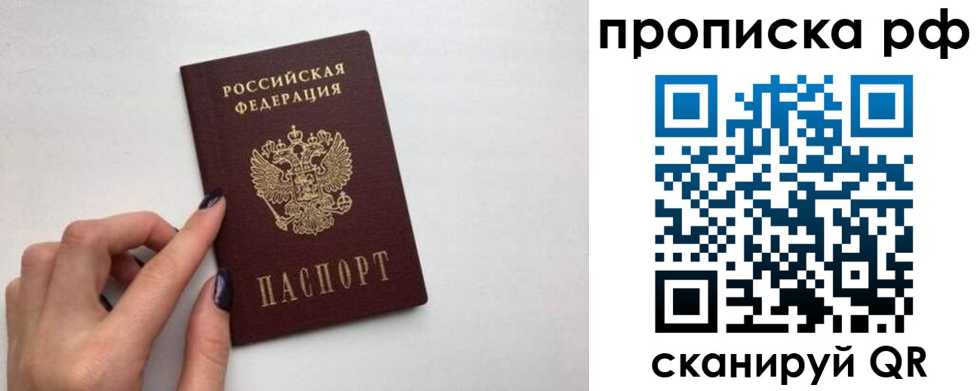 прописка в квартире в Палласовке